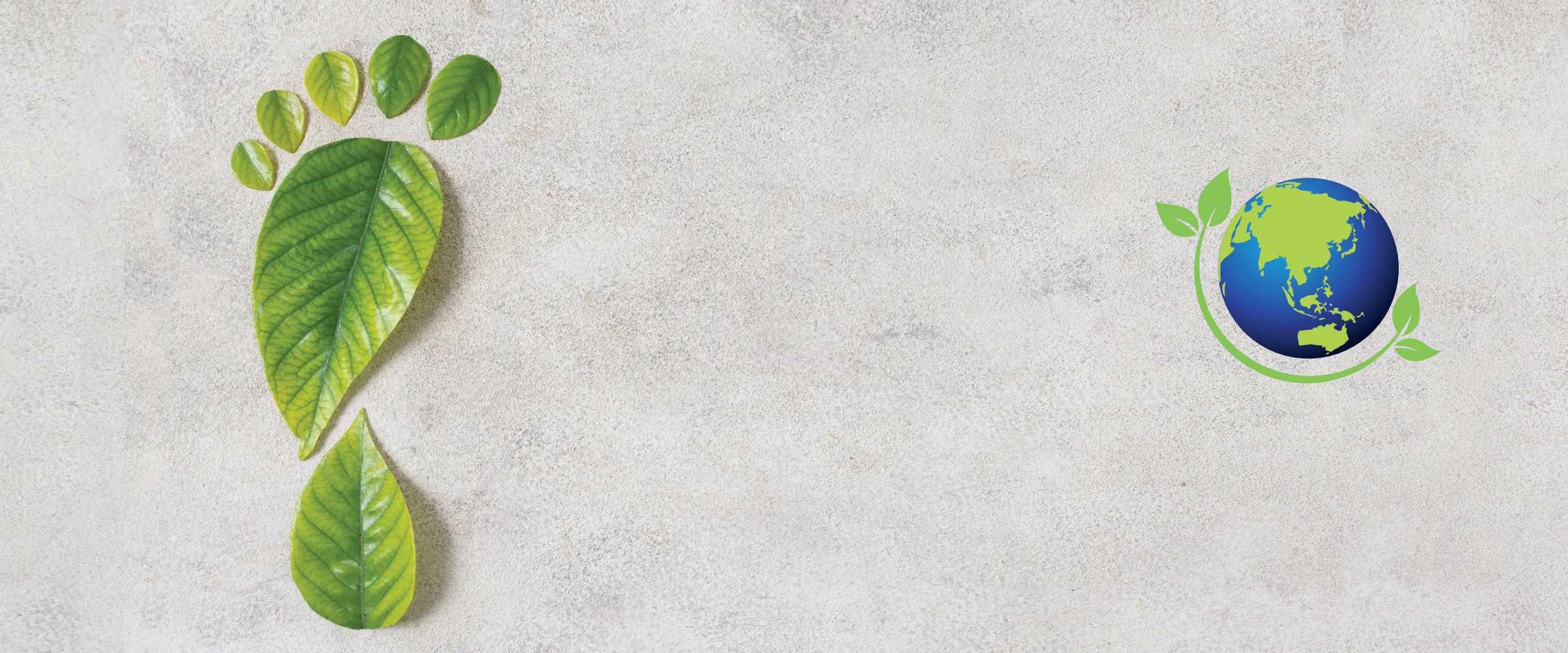 Mega Clean Professional GmbH - Environmentally sound